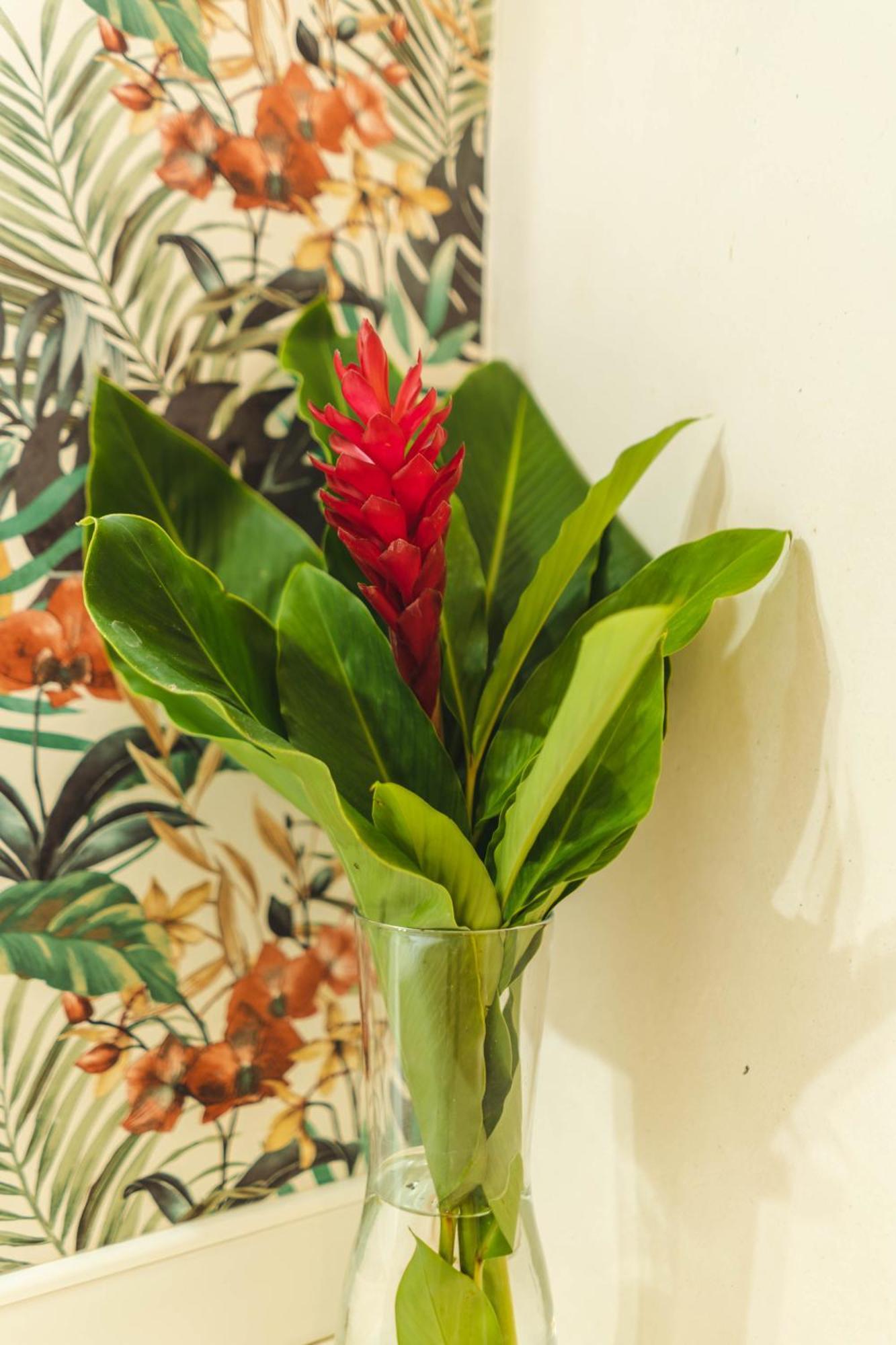 Punta Popy Boutique Hotel (Adults Only) Las Terrenas Quarto foto